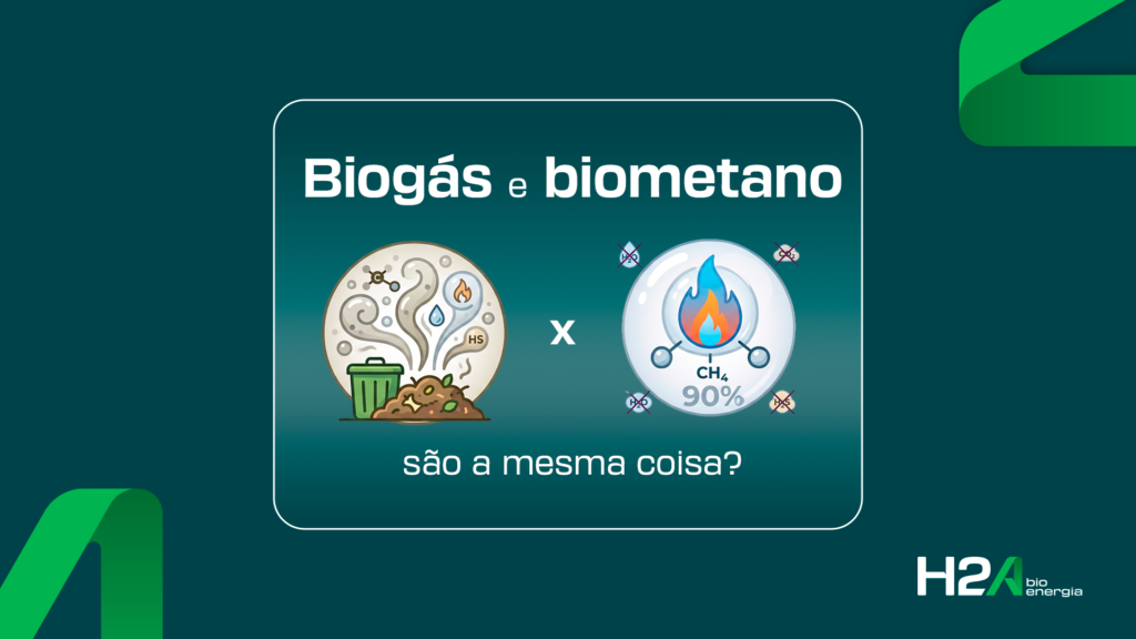biogás e biometano